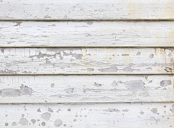 Best Historical Building Siding Restoration  in Port Clinton, OH
